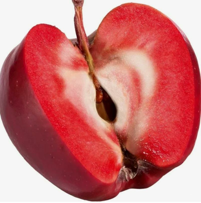 Яблоня красномясая Вампира Яблоня красномясая Вампира